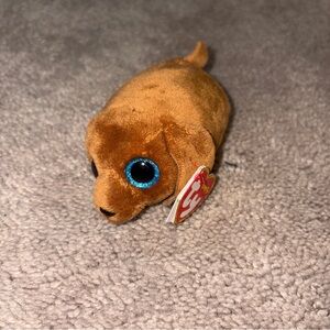 Ty Teeny Tys - Ranger The Dog (4in) Plush Toy